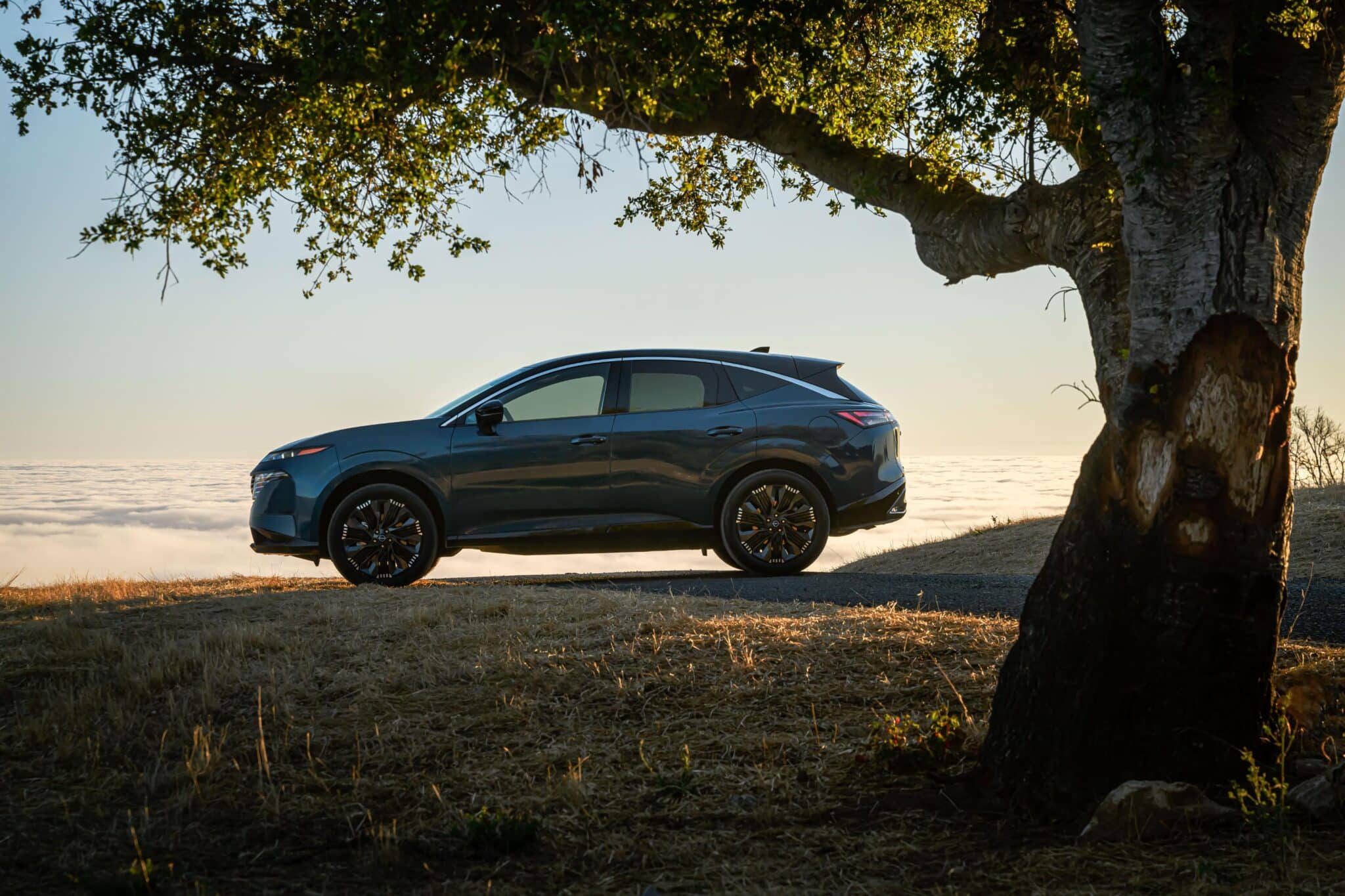 2025 Nissan Murano 34 scaled